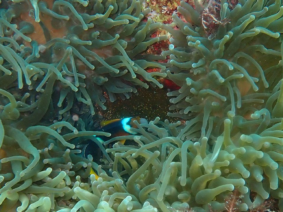 �ɓ��C�m����