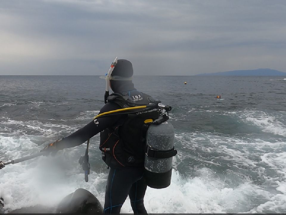 �ɓ��C�m����