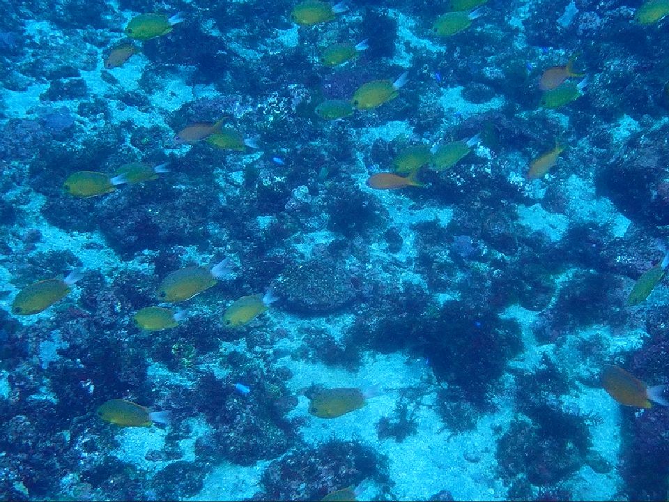 �ɓ��C�m����