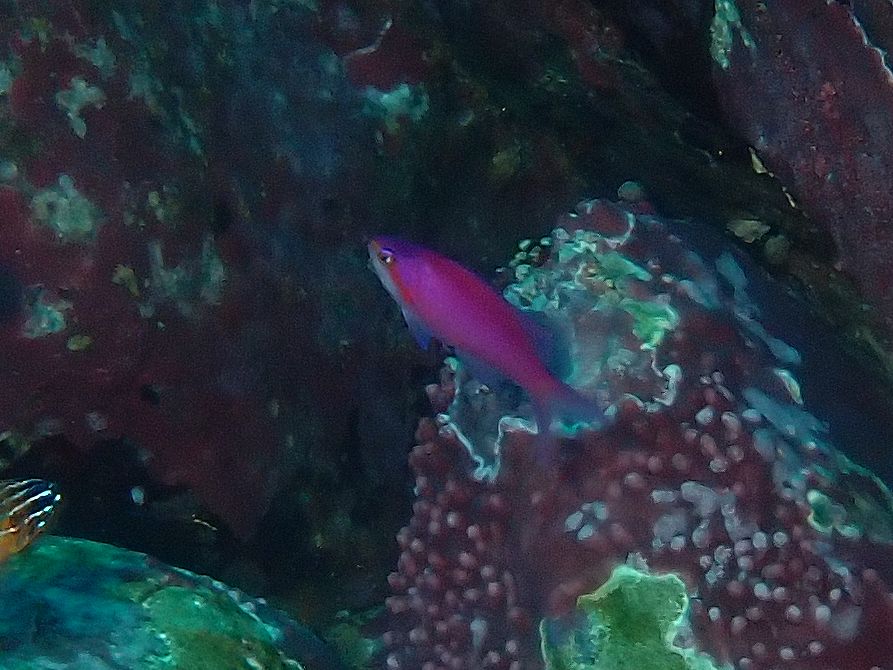 �ɓ��E������