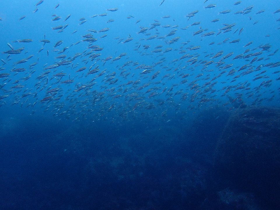 �ɓ��E������