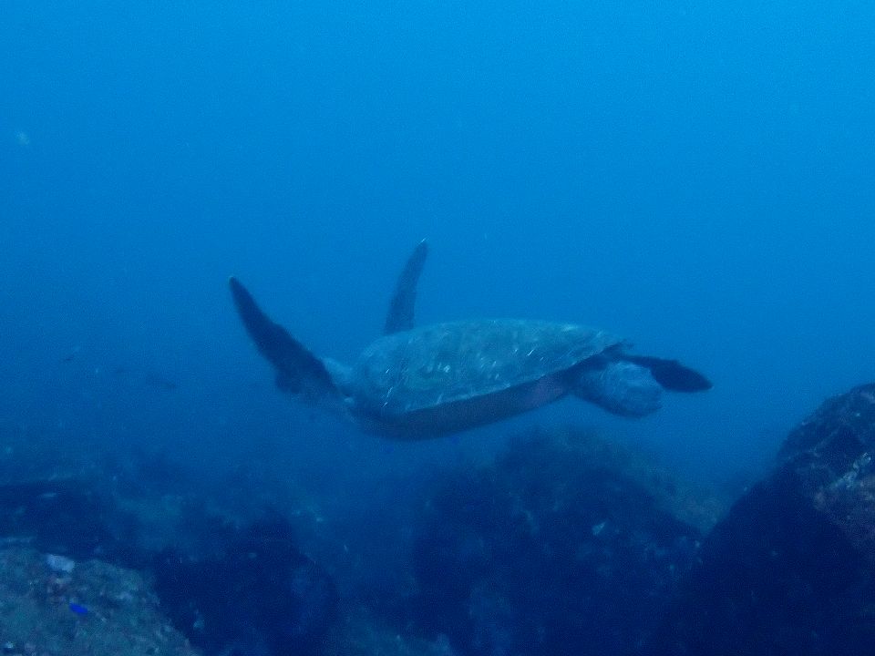 �ɓ��E������