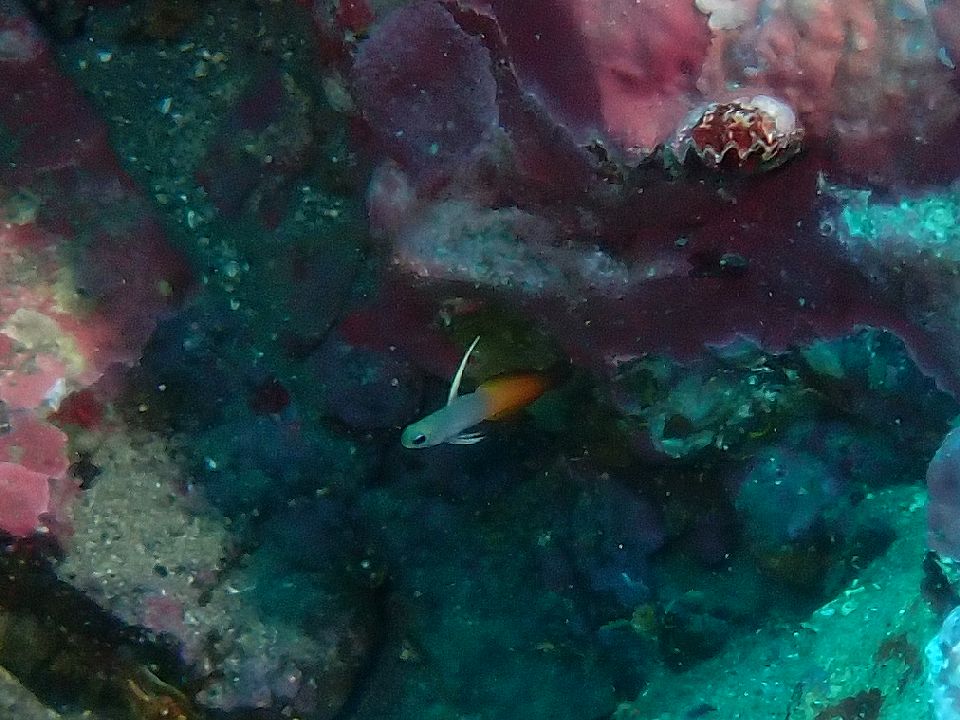 �ɓ��E������