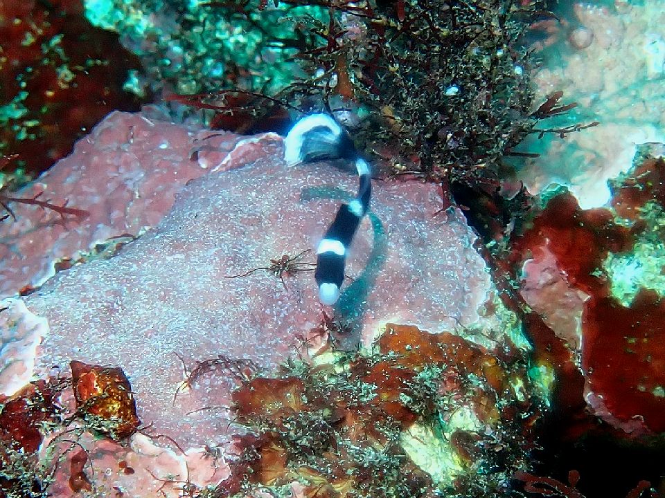 �ɓ��E������