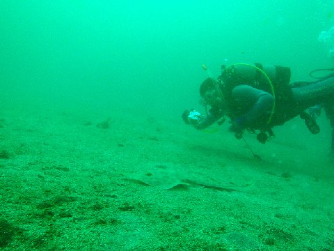 �ɓ������ʐ^�@�N���b�N�ő傫���Ȃ�܂�