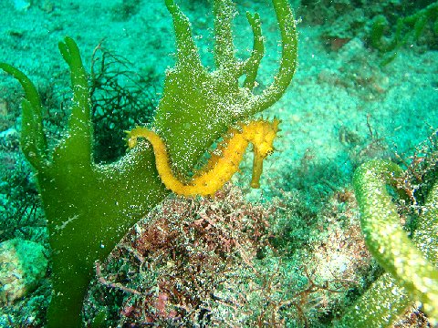 �ɓ������ʐ^�@�N���b�N�ő傫���Ȃ�܂�