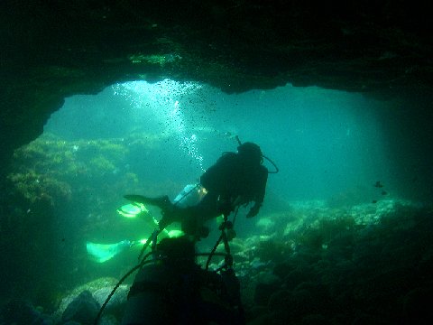 �ɓ������ʐ^�@�N���b�N�ő傫���Ȃ�܂�