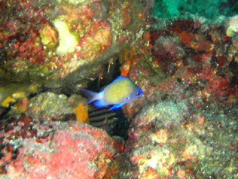 �ɓ������ʐ^�@�N���b�N�ő傫���Ȃ�܂�