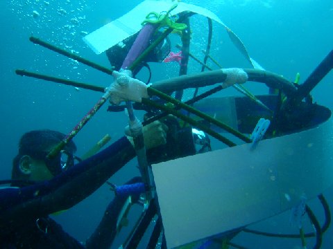 �ɓ������ʐ^�@�N���b�N�ő傫���Ȃ�܂�