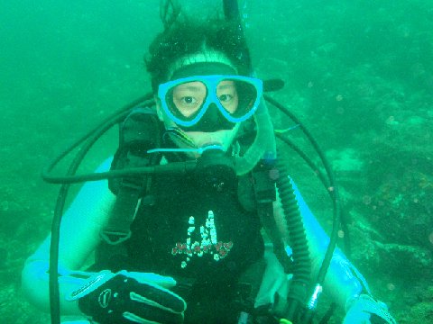 �ɓ������ʐ^�@�N���b�N�ő傫���Ȃ�܂�