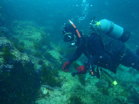 �ɓ������ʐ^�@�N���b�N�ő傫���Ȃ�܂�