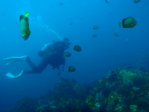 �ɓ������ʐ^�@�N���b�N�ő傫���Ȃ�܂�