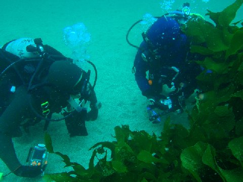 �ɓ������ʐ^�@�N���b�N�ő傫���Ȃ�܂�