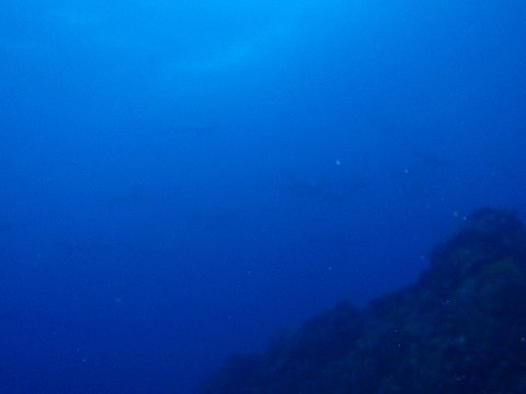 �ɓ������ʐ^�@�N���b�N�ő傫���Ȃ�܂�