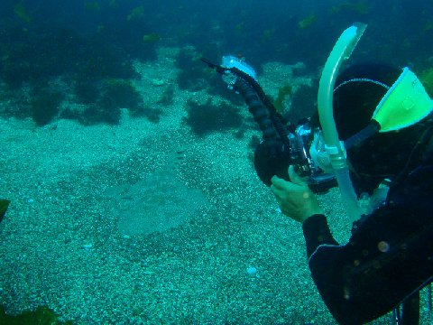 �ɓ������ʐ^�@�N���b�N�ő傫���Ȃ�܂�