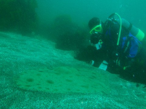 �ɓ������ʐ^�@�N���b�N�ő傫���Ȃ�܂�