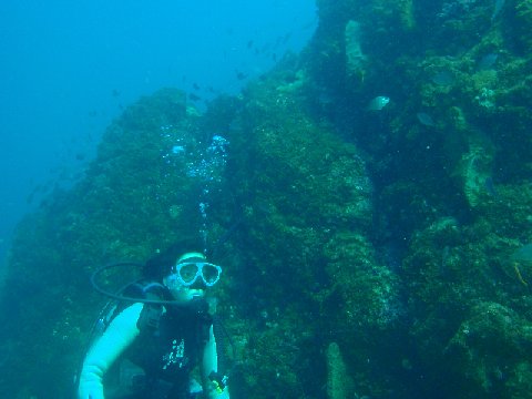 �ɓ������ʐ^�@�N���b�N�ő傫���Ȃ�܂�