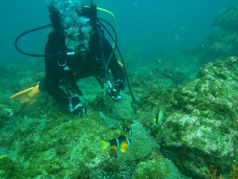 �ɓ������ʐ^�@�N���b�N�ő傫���Ȃ�܂�