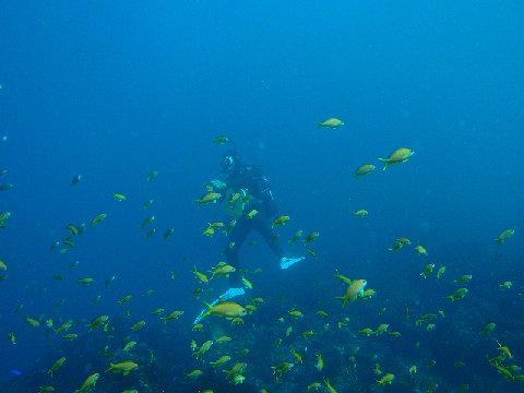 �ɓ������ʐ^�@�N���b�N�ő傫���Ȃ�܂�