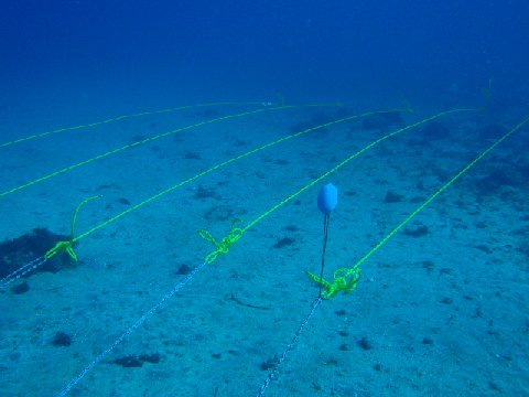 �ɓ������ʐ^�@�N���b�N�ő傫���Ȃ�܂�