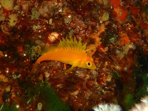 �ɓ������ʐ^�@�N���b�N�ő傫���Ȃ�܂�