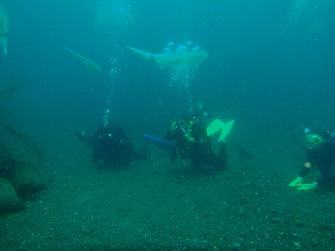 �ɓ������ʐ^�@�N���b�N�ő傫���Ȃ�܂�