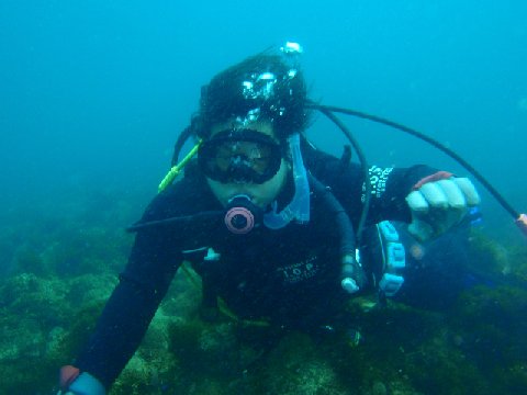 �ɓ������ʐ^�@�N���b�N�ő傫���Ȃ�܂�