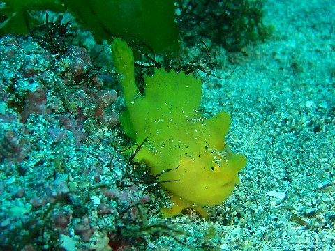 �ɓ������ʐ^�@�N���b�N�ő傫���Ȃ�܂�