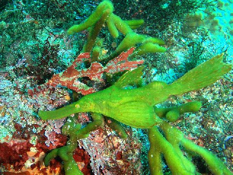 �ɓ������ʐ^�@�N���b�N�ő傫���Ȃ�܂�