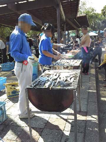 �ɓ������ʐ^�@