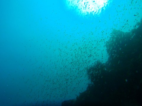 �ɓ������ʐ^�@�N���b�N�ő傫���Ȃ�܂�