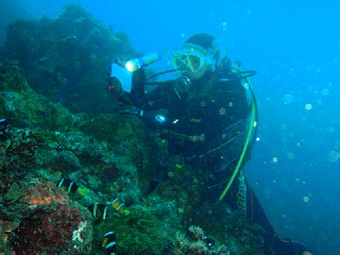 �ɓ������ʐ^�@�N���b�N�ő傫���Ȃ�܂�