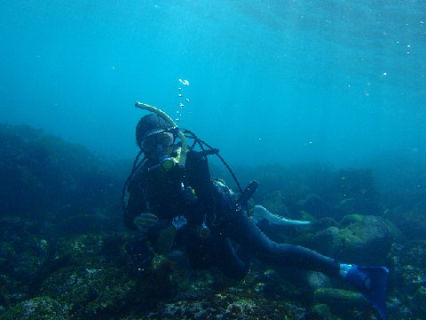 �ɓ������ʐ^�@�N���b�N�ő傫���Ȃ�܂�