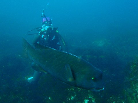 �ɓ������ʐ^�@�N���b�N�ő傫���Ȃ�܂�