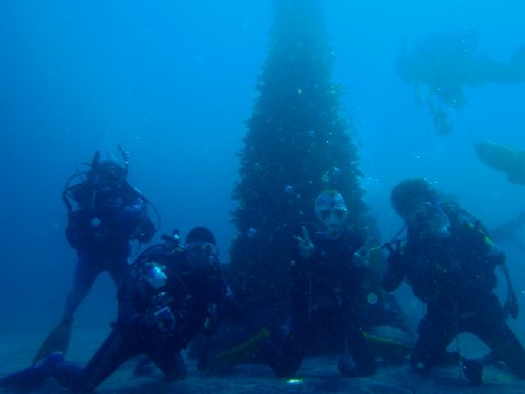 �ɓ������ʐ^�@�N���b�N�ő傫���Ȃ�܂�