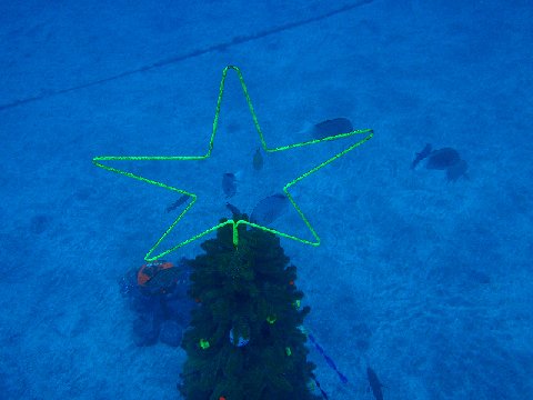 �ɓ������ʐ^�@�N���b�N�ő傫���Ȃ�܂�