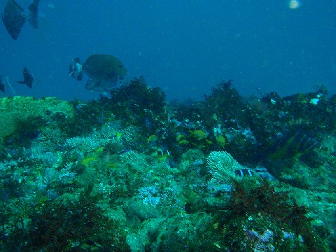 �ɓ������ʐ^�@�N���b�N�ő傫���Ȃ�܂�