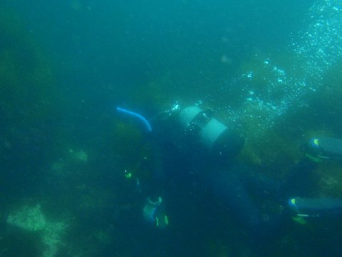 �ɓ������ʐ^�@�N���b�N�ő傫���Ȃ�܂�