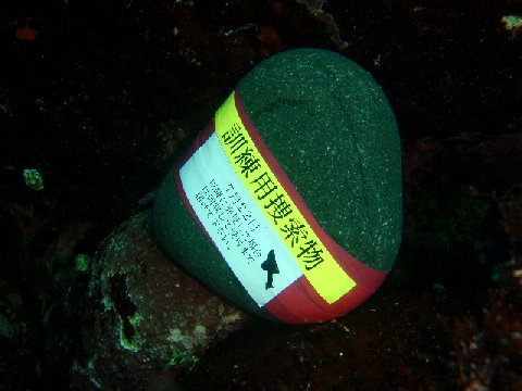 �ɓ������ʐ^�@�N���b�N�ő傫���Ȃ�܂�