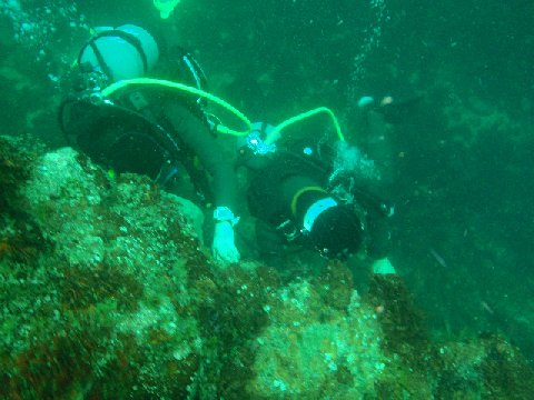 �ɓ������ʐ^�@�N���b�N�ő傫���Ȃ�܂�