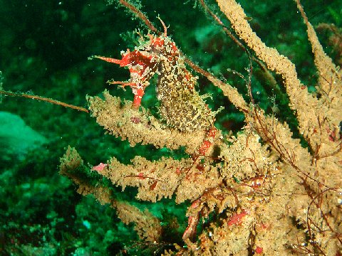 �ɓ������ʐ^�@�N���b�N�ő傫���Ȃ�܂�