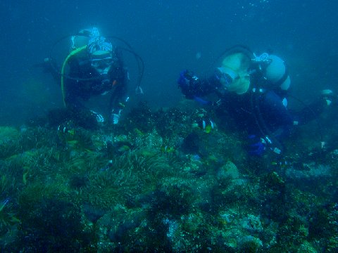 �ɓ������ʐ^�@�N���b�N�ő傫���Ȃ�܂�