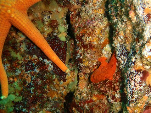 �ɓ������ʐ^�@�N���b�N�ő傫���Ȃ�܂�