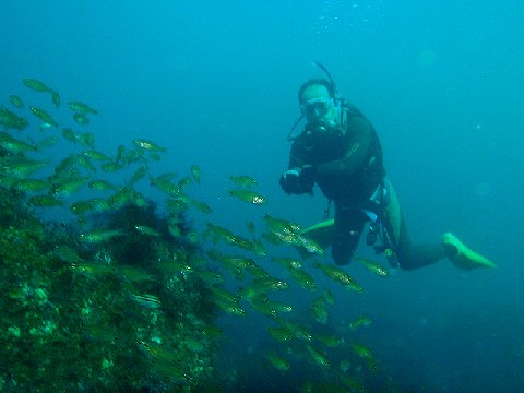 �ɓ������ʐ^�@�N���b�N�ő傫���Ȃ�܂�