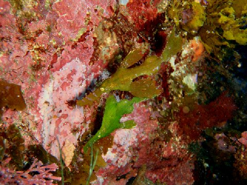 �ɓ������ʐ^�@�N���b�N�ő傫���Ȃ�܂�