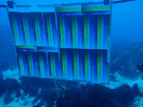 �ɓ������ʐ^�@�N���b�N�ő傫���Ȃ�܂�