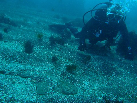 �ɓ������ʐ^�@�N���b�N�ő傫���Ȃ�܂�