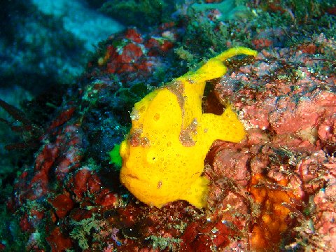 �ɓ������ʐ^�@�N���b�N�ő傫���Ȃ�܂�