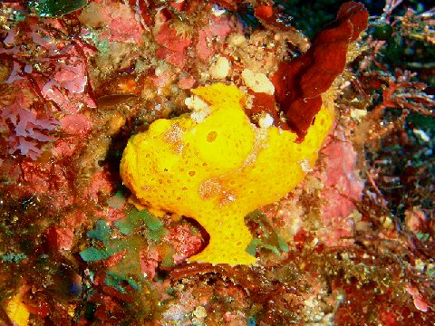 �ɓ������ʐ^�@�N���b�N�ő傫���Ȃ�܂�