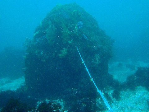 �ɓ������ʐ^�@�N���b�N�ő傫���Ȃ�܂�